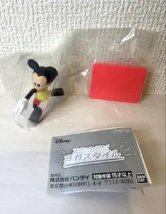 【新品未開封】Disney ヨガスタイル