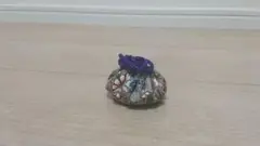 Item thumbnail for item 9bbee944-ff09-412e-a92f-5041f6ccf8d5