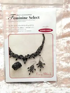 クラフト　アクセサリーズ　ブラック系ネックレス+イヤリングorビアスキット