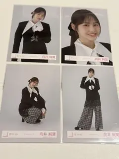 櫻坂46 生写真 クラシックコーデ 4種コンプ　向井純葉