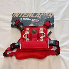 Item thumbnail for item 4fdab89d-806c-43e1-b788-3b32e99b2d5b