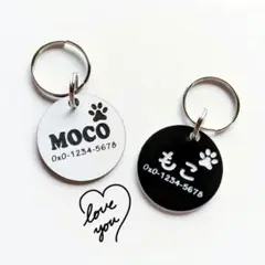 Item thumbnail for item d59a3304-4f9e-4c15-b9ec-02f5759b2c23