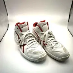 Item thumbnail for item e1eef01b-5331-46b2-a73e-8a7f5321a6d5