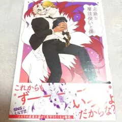 未熟な魔法使いと僕