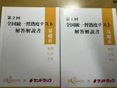 全国統一習熟度テスト解答解説書