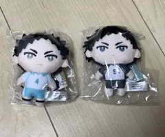 かぷっこふれんず3 ハイキュー　岩泉　赤葦セット