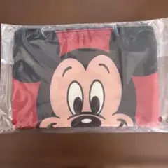 ディズニーファンタジア⭐︎一番くじ
