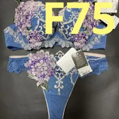 サルート 49グループ ⭐️BU⭐️F75/M 上下セット 新品❗️