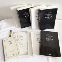 フォーカスゴールド　5点セット