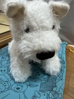 JELLYCAT 23cmウエストハイランドドール ぬいぐるみ かわいいミニ犬