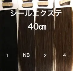 シールエクステ 40 メッシュエクステ