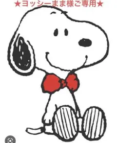 ヨッシーまま様 ご専用