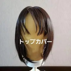 Item thumbnail for item 03b9597d-e901-41c6-ada1-e1d3dad99bf5