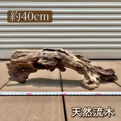 【一点物】天然流木｜アク抜き・天日干し済｜アクアリウムや爬虫類の登り木に