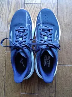 Item thumbnail for item 09d3a294-97d0-4333-b8d5-667b5963379b