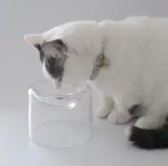 Item thumbnail for item e7a522fe-4696-45d0-82eb-5678cb3c44d9