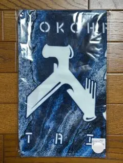 入江大生選手 めちゃめちゃ愛してるよヨコハマ タオル 入江大生選手 めちゃめちゃ愛してるよヨコハマ タオル - メルカリ