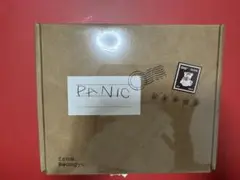 即購入可　TXT ボムギュ PANIC 新品未開封