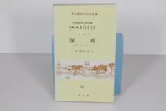 湖畔　インメンゼー　シュトルム ・三浦 晃 (著)　ドイツ語　独和対訳　郁文堂