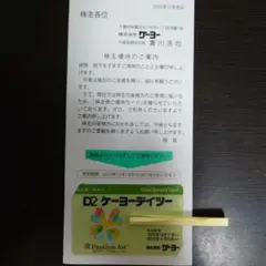 ケーヨーデイツー 株主優待券 1枚 ケーヨーD2 ケーヨー
