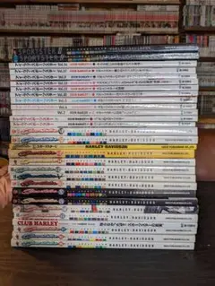 スポーツスター 雑誌