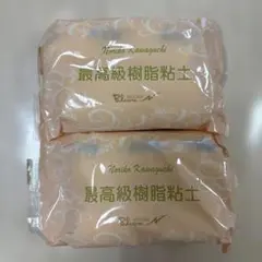 最高級樹脂粘土　250g×2 Bloom N