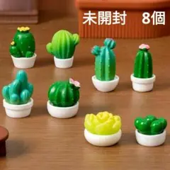 未開封　ミニチュア　置物 サボテン 多肉植物 8点セット