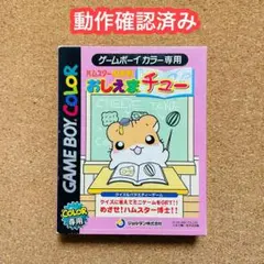 ハムスター倶楽部 おしえまチュー