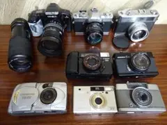 Item thumbnail for item 9ea9022d-a417-421c-9bc3-6d488f0e5c6e