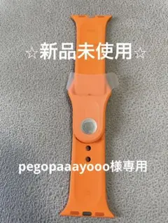 HERMESエルメス⭐︎AppleWatchベルトスポーツバンド
