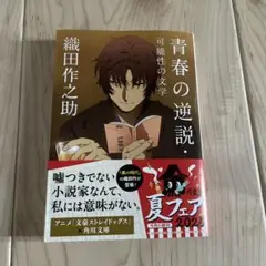 青春の逆説・可能性の文学