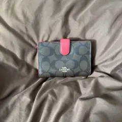 Item thumbnail for item 23718e29-b05b-4938-950a-a8f8bae64240