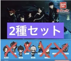 Novelbright ノーベルブライト カプセルラバーマスコット　2種セット②