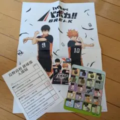 ハイキュー!! バボカ　ハイキューファンパーク入部届　おまけ