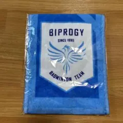 2025年最新】biprogy バドミントンの人気アイテム - メルカリ