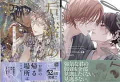 BL新刊　三上志乃　ピットスポルム5 露久ふみ　后宮のオメガ　雪花の章