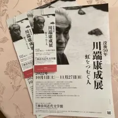 川端康成展 入場券2枚