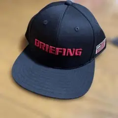 Item thumbnail for item 768bdfd7-950c-40ef-a873-4a6e9206e1ed