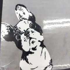 NITORI フレンチブルドッグ 枕カバー 43×63cm