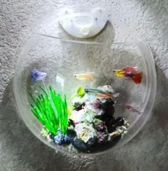 熱帯魚レプリカ小さな水槽風