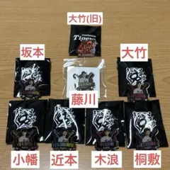 阪神タイガースFC会員限定ピンズセット 藤川、近本、木浪、坂本、小幡、桐敷、大竹