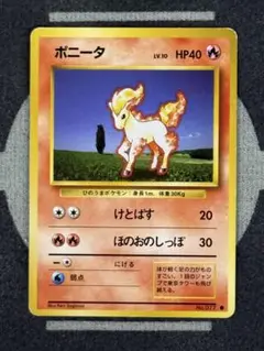 【10点2500円引き】ポニータ