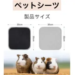 Item thumbnail for item 11f390dc-8a65-419f-b03d-405bbc08cfae
