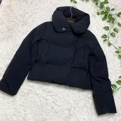 theory luxe ボリュームネック ショート丈ダウンジャケットコート 38