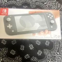 Nintendo Switch Lite グレー クリアケース付き
