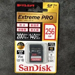 SanDisk 256gb