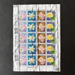 Item thumbnail for item 940b7193-fd43-4bcf-b779-4234e25872fd