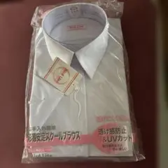 形態安定スクールブラウス165センチ