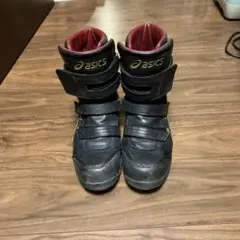 Item thumbnail for item ee286165-5eed-4540-b605-a287ea916716