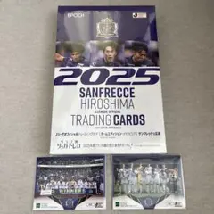 2025 SANFRECCE HIROSHIMA TRADING CARDS
